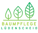 Baumpflege Lüdenscheid